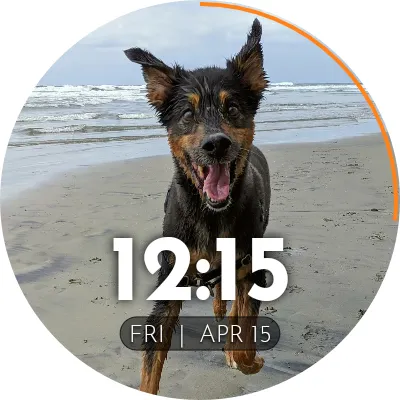PhotoWear Classic Watch Face screenshot 9