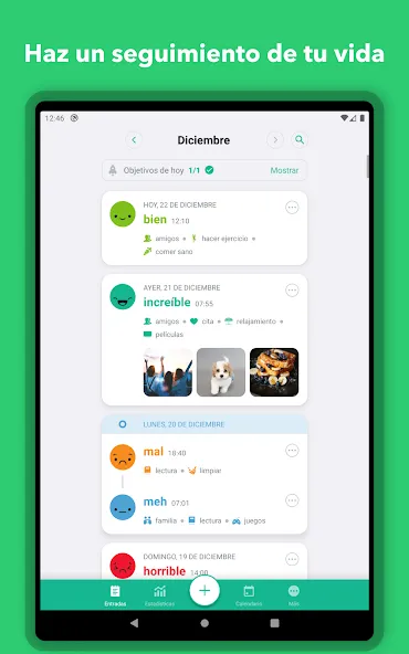 Daylio Diario: Diario Personal screenshot 11