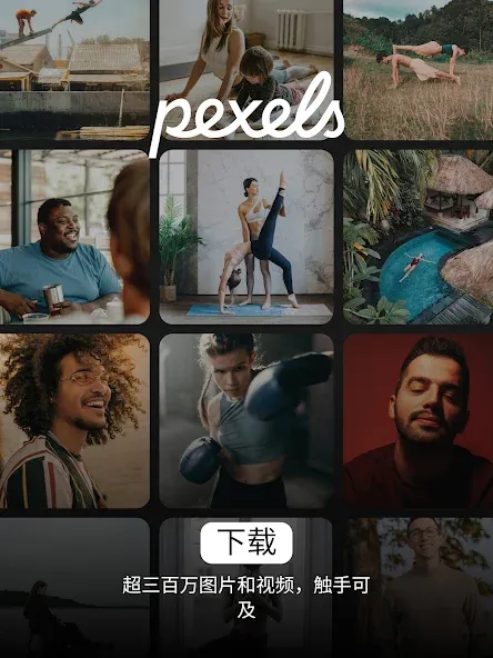 Pexels screenshot 6