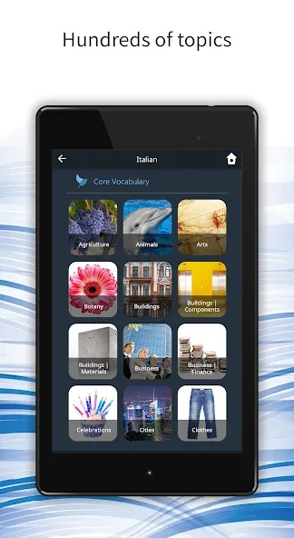 Learn 163 Languages | Bluebird screenshot 14