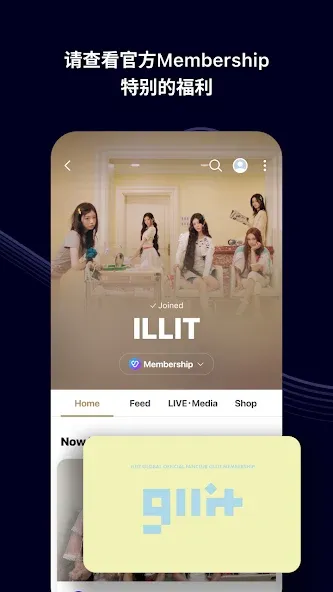 Weverse-和艺人更靠近 screenshot 7