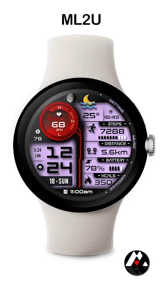 ML2U 263 Watch Face screenshot 8