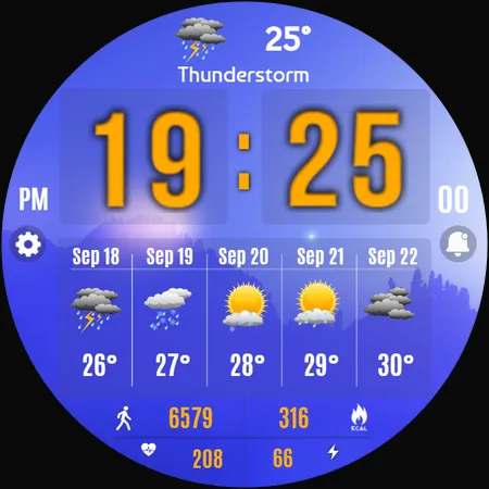Forecast Weather Digital screenshot 34
