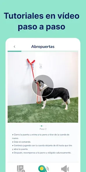 Hundeo - Entrenamiento perro screenshot 3
