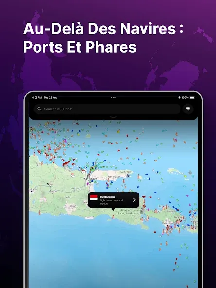 MarineRadar: Suivi des navires screenshot 11