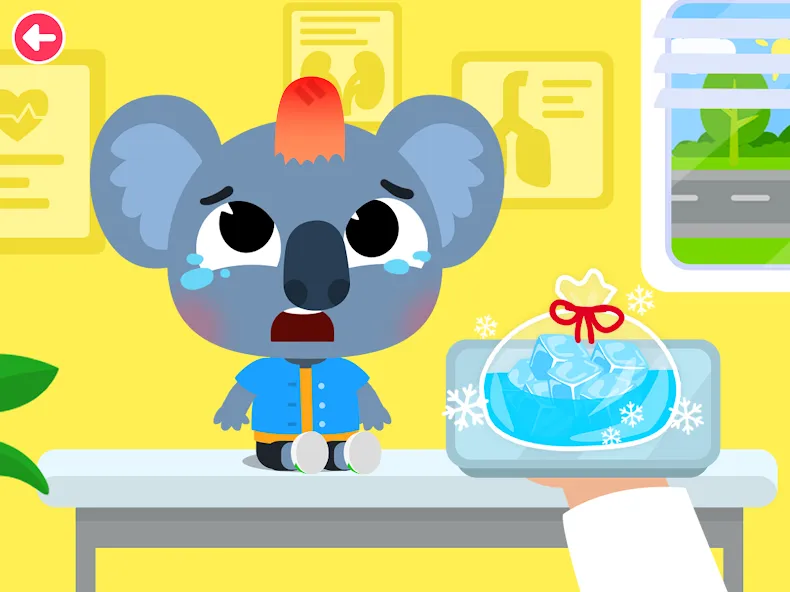 Dr Kiko: clínica veterinária screenshot 12