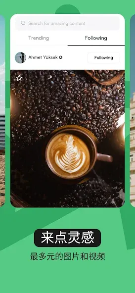 Pexels screenshot 2