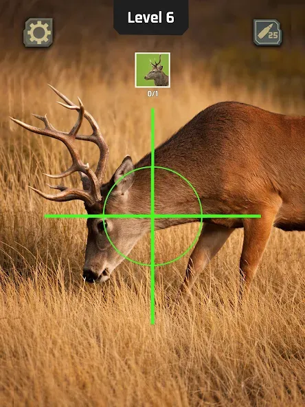 Animal Hunter: Wild Shooting screenshot 13