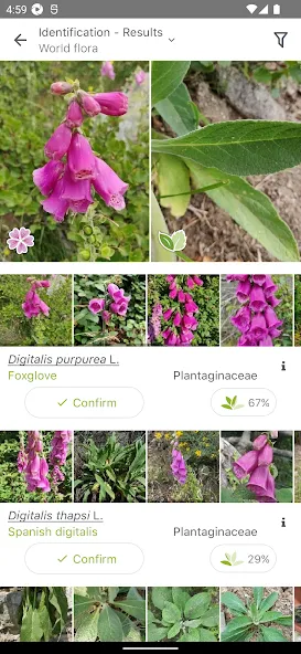 PlantNet Plant Identification screenshot 2