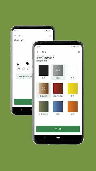 Merlin 鸟种识别 by Cornell Lab screenshot 7