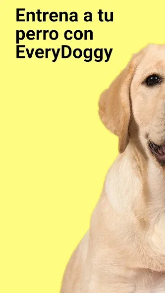 EveryDoggy-entrenamiento perro screenshot 1