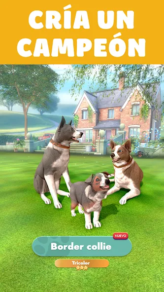 Pocket Paws: perros adorables screenshot 2