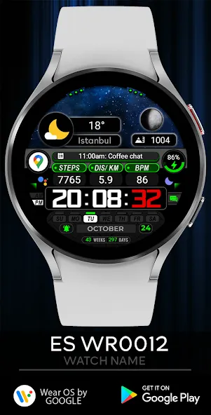 ES WR0012 screenshot 2