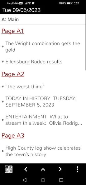 Ellensburg Daily Record screenshot 5