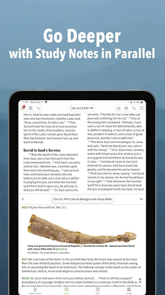 Message Bible by Olive Tree screenshot 10