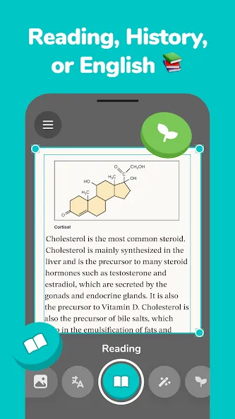 Studdy: AI Homework Helper screenshot 5