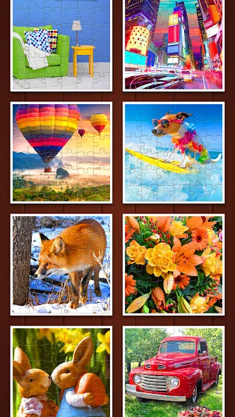 Entdecker der Puzzlespiele screenshot 5