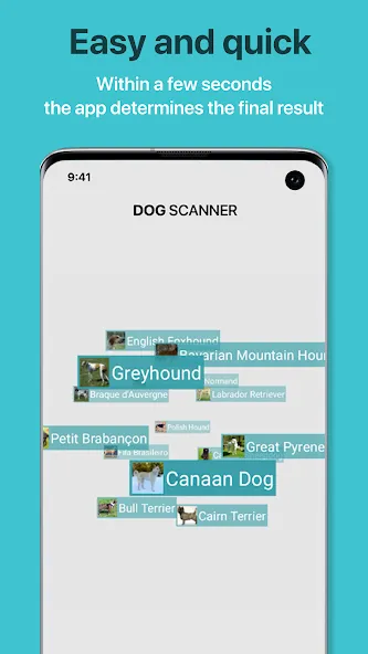 Dog Scanner: Breed Recognition screenshot 3