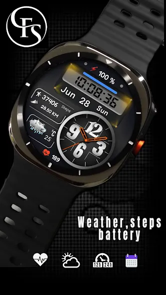 FSW316 Hybrid Watch Face screenshot 2
