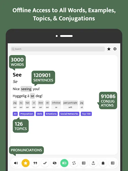 Most Common Norwegian Words screenshot 8