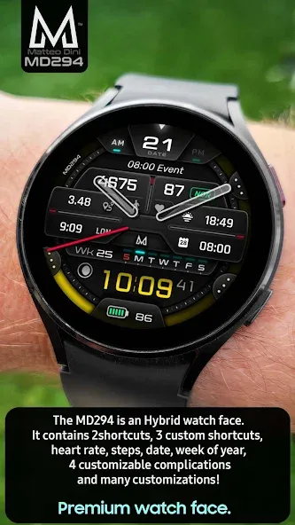 MD294 Analog watch face screenshot 2