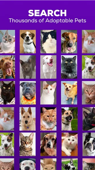 Petfinder - Adopt a Pet screenshot 1