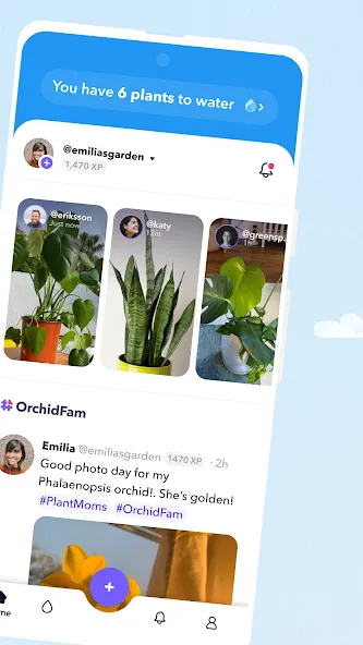 Plant Identifier & Care - Greg screenshot 2