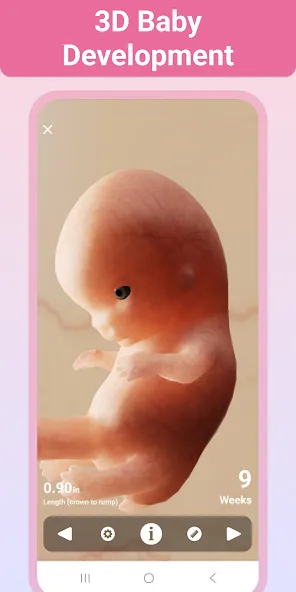 Pregnancy + | Tracker App screenshot 5