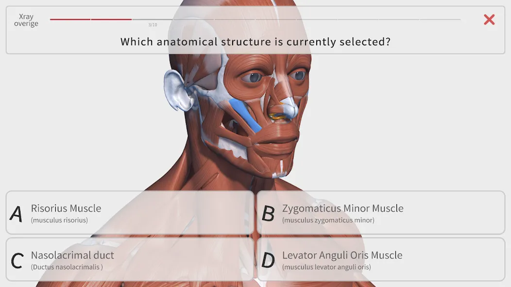 Visual Anatomy 3D - Human body screenshot 28