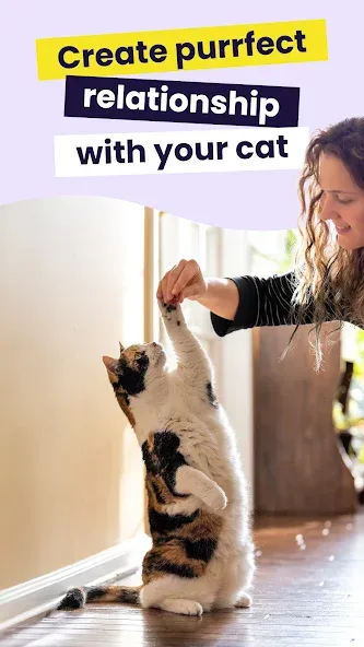 Meowz: Cat Training & Pet care screenshot 1