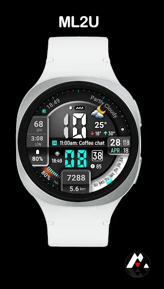 ML2U 413 Active Lifestyle screenshot 3