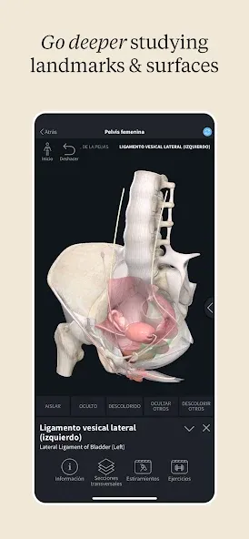 Complete Anatomy - Learn in 3D screenshot 5