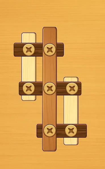Screw Puzzle: Wood Nut & Bolt™ screenshot 17
