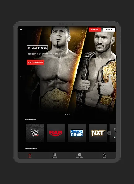 WWE screenshot 8
