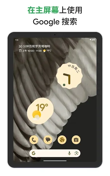 Google screenshot 10