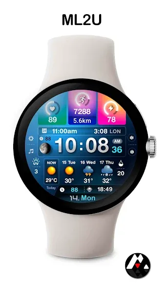 ML2U 243 Watch Face screenshot 3