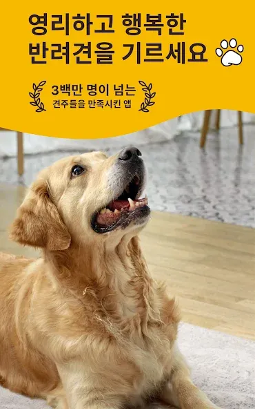 Woofz - 스마트한 개 훈련 screenshot 9