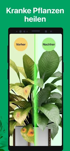 PictureThis:Pflanzen bestimmen screenshot 7