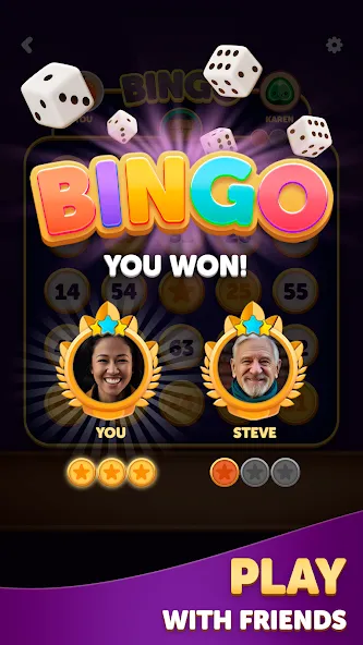 Bingo Dice screenshot 8