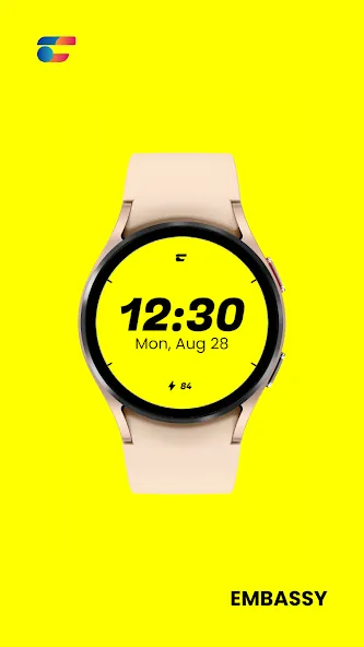 Embassy: Minimal Watch Face screenshot 6