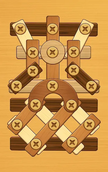 Screw Puzzle: Wood Nut & Bolt™ screenshot 13