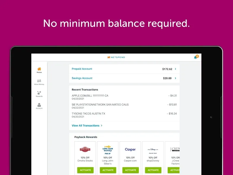 Classic Netspend screenshot 11