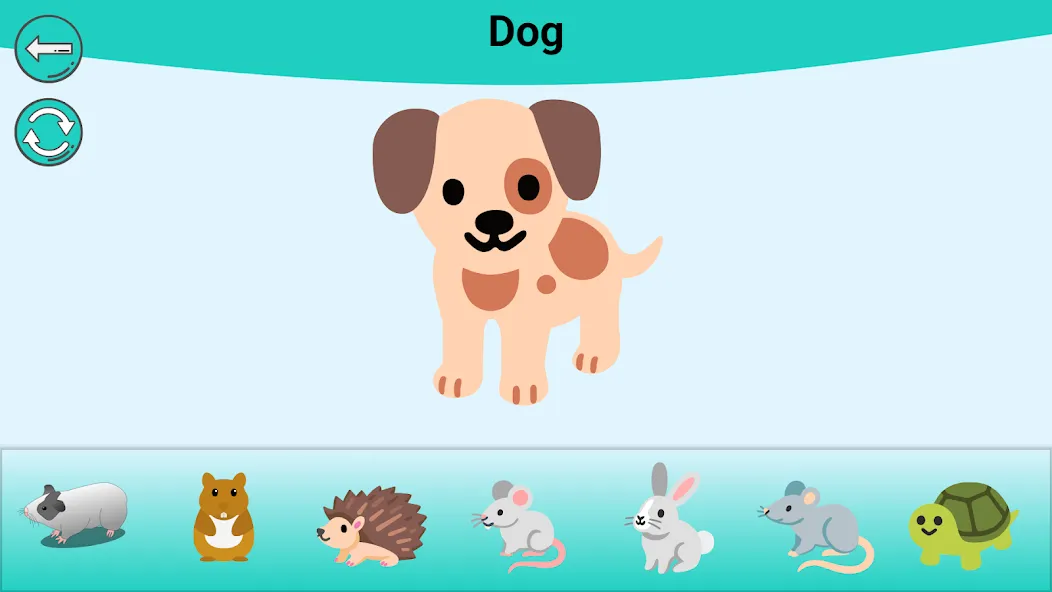 Kids & Toddlers Learn and Play screenshot 5