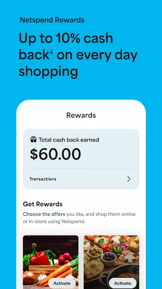 Netspend screenshot 5