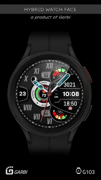 Garbi 103: Hybrid Watch Face screenshot 5