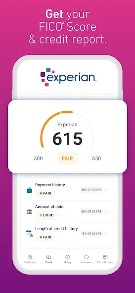 Experian® screenshot 2