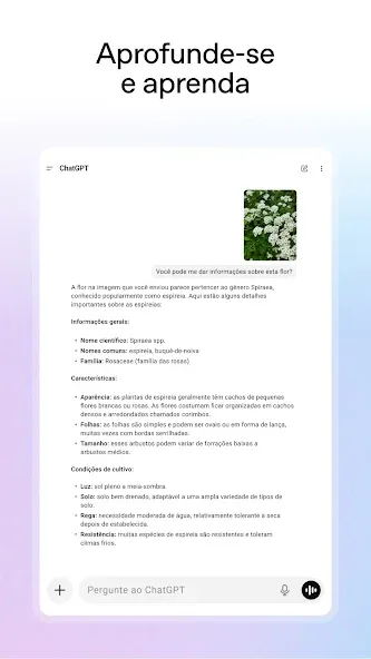 ChatGPT screenshot 14