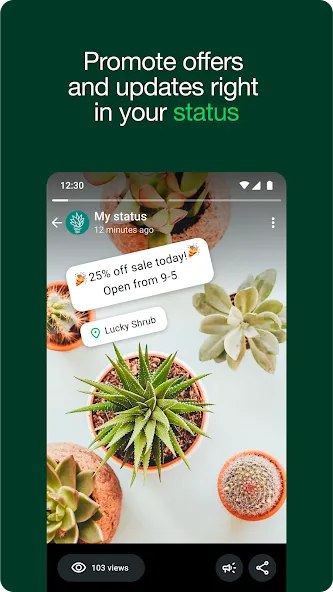 WhatsApp Business screenshot 2