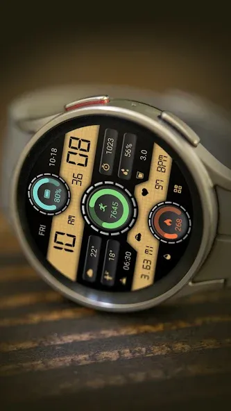 Triple Circular Classic Watch screenshot 5
