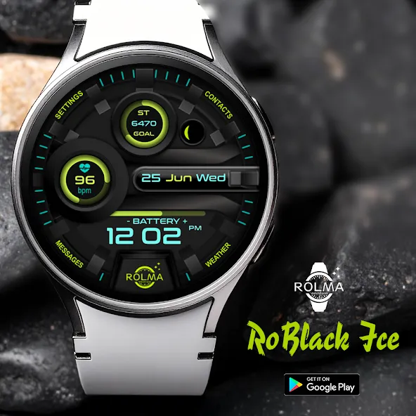 RoBlackIce screenshot 6